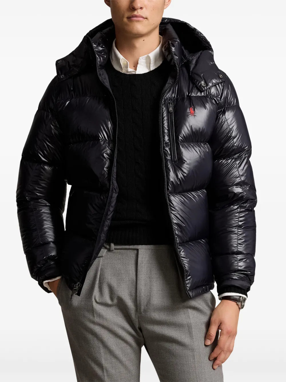 'RL' Shiny Puffer