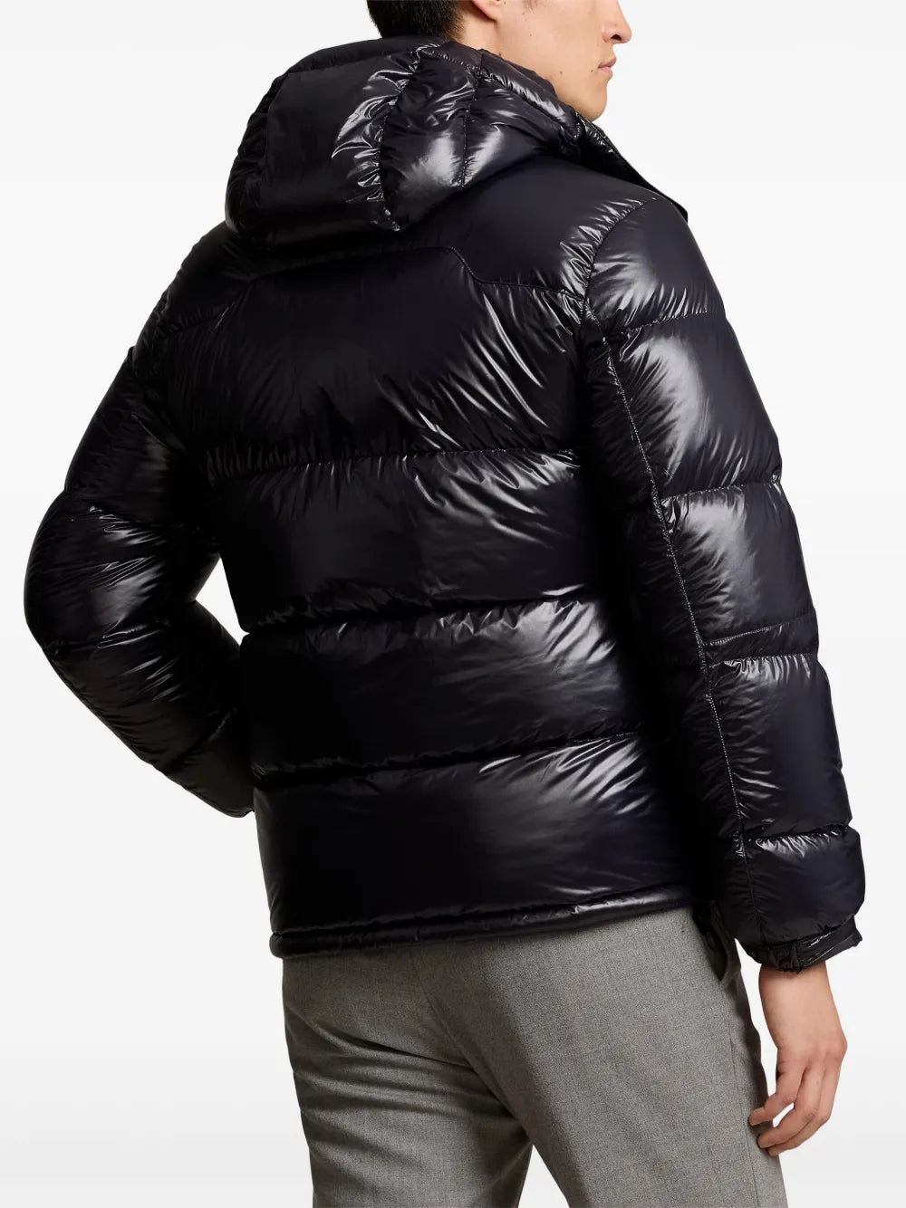 'RL' Shiny Puffer