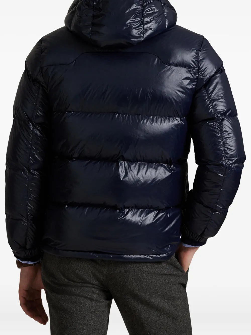 'RL' Shiny Puffer