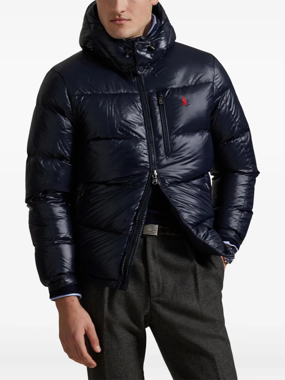 'RL' Shiny Puffer